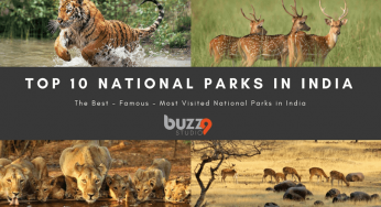 Top 10 Most Visited National Parks in India