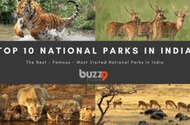 Top 10 National Parks in India